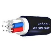 Кабель АКВВГзнг 10х1